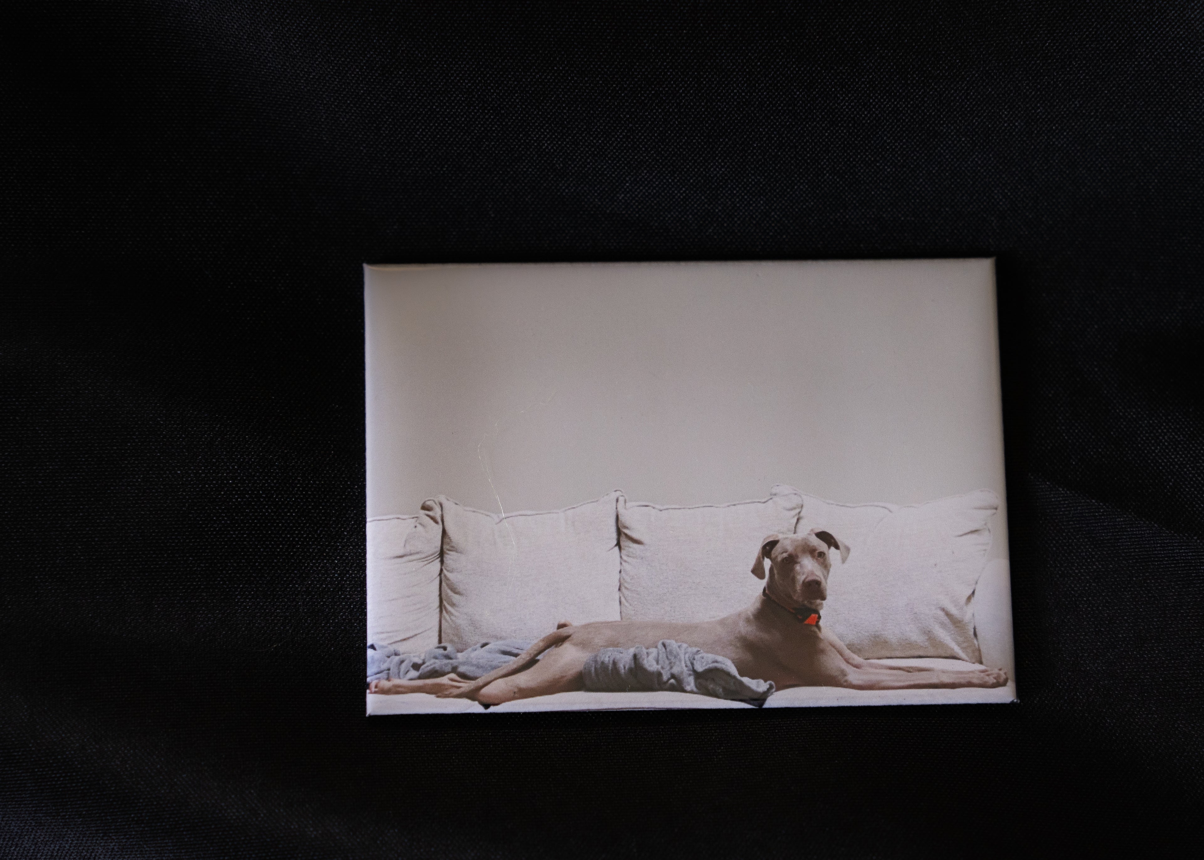Custom Photo Magnets (2.5"x3.5")