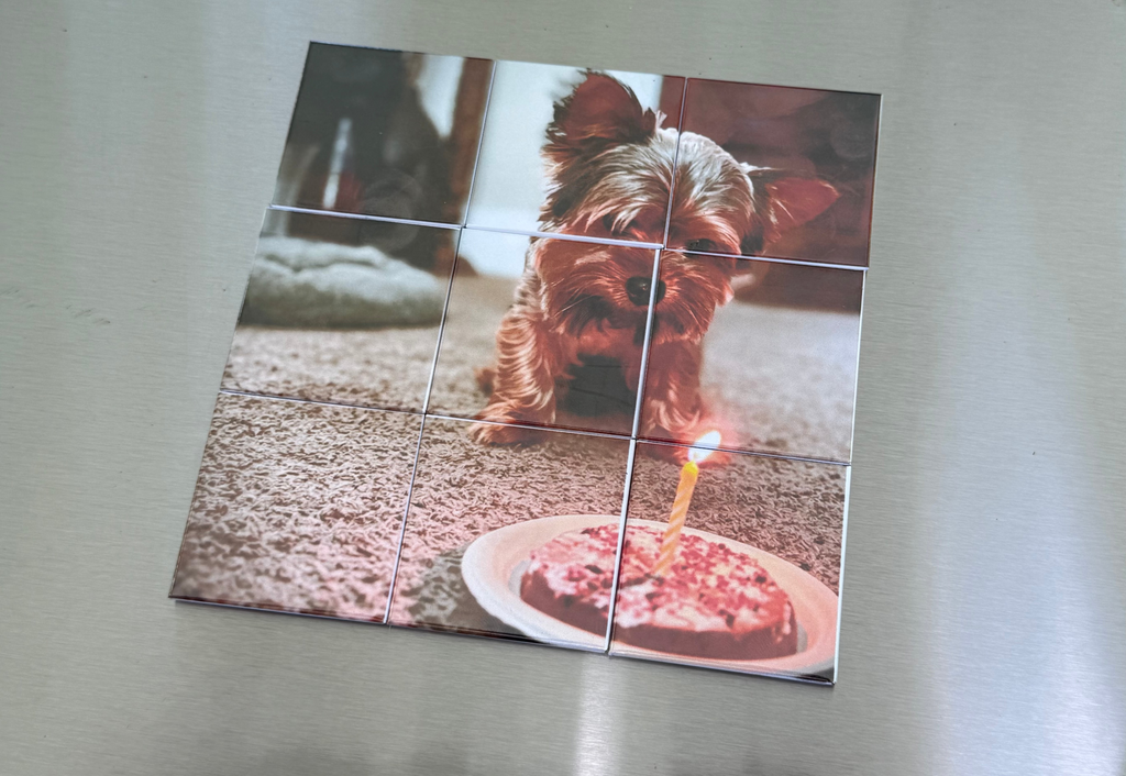 Puzzle Magnet Set (9-Piece)
